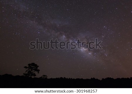 Milky way over the forest, Taken via star tracker, low noise high quality