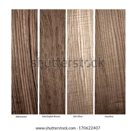 real wood samples of Zebrawood, Oak-English Brown, Ash-Olive and Sassafras on a white background