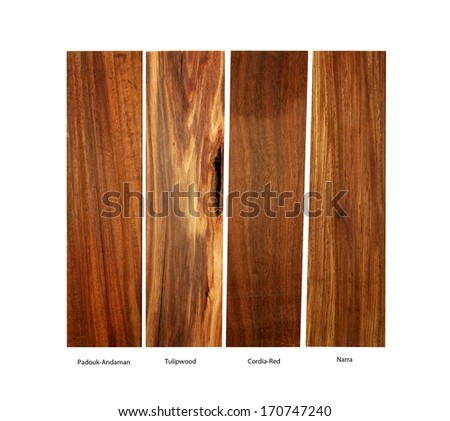 Wood Samples Of Padouk-Andaman, Tulip Wood, Cordia-Red, And Narra Wood On A White Background