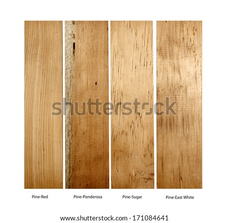 wood samples of Pine-Red, Pine-Ponderosa, Pine-Sugar and Pine-East White on a white background