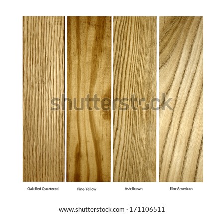 real wood samples of Oak-Red Quartered,Pine Yellow, Ash-Brown and Elm-American on a white background