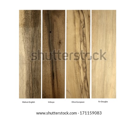 Wood Samples Of Walnut-English,Imbuya,Olive-European And Fir-Douglas On A White Background
