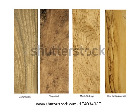 real wood samples of Lignum-Vitea, Thuya-Burl,Maple Birds Eye and Olive European, isolated