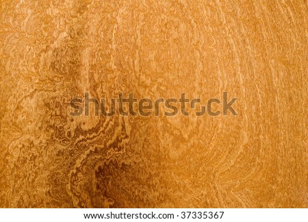 Sapele Wood Veneer Stock Photo 37335367 : Shutterstock