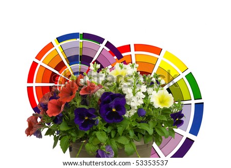 guide for a colorful flower arrangement
