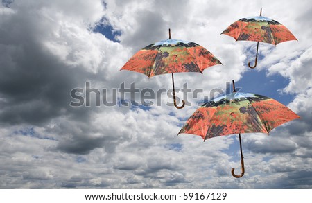 caught in a updraft- umbrellas flying high up