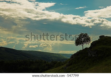 Lonely tree on mountain. Russia. Last place, before Polar Circle where it is possible to meet people. Border of Siberia and Northern Urals Mountains.