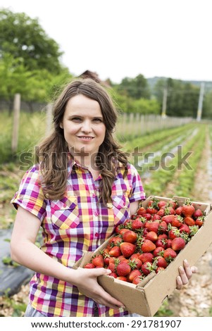 Portrait of young woman in strawberry field holding a cardboard box full with fresh red strawberries