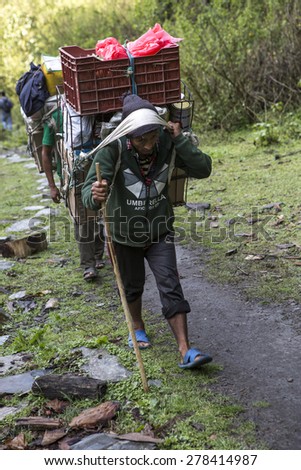 KATHMANDU, NEPAL - April 15,:Mountain porter carrying heavy load in Himalayas, Nepal. April 15, 2015 in Kathmandu, Nepal