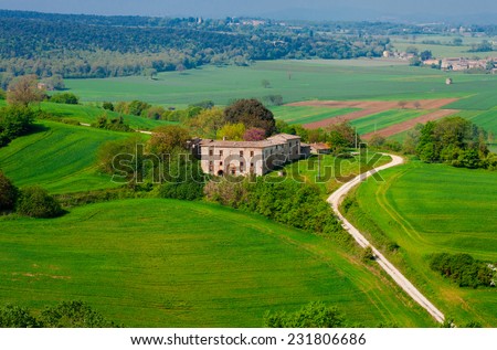 Green rural landscape with a deserted manor among the fields