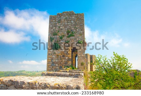Overgrown remnant of an old guard tower on a medieval city wall