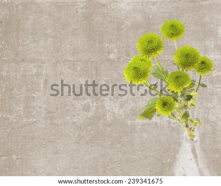 Abstract vintage textured background with a branch of button mums in a bottle
