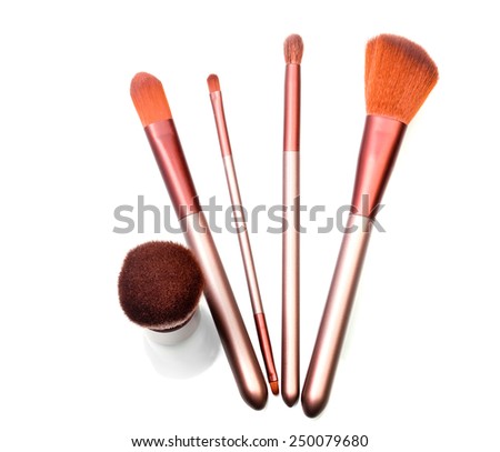 Set of red-fur makeup brushes for basic personal use (over white background)