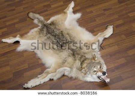 [Image: stock-photo-a-wolf-pelt-on-the-floor-8038186.jpg]