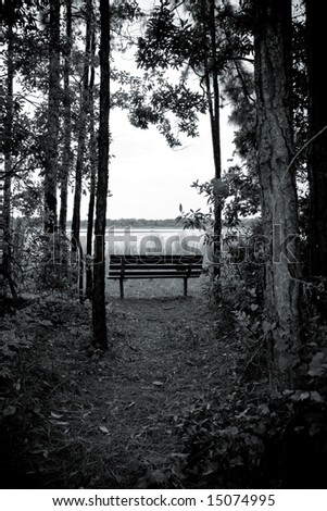 Black and white  image of a trail leading to a bench overlooking a lake