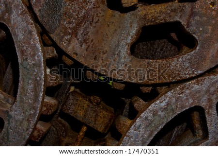 Old rusty gears enmeshed on an antique sugar mill