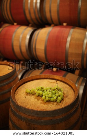 Wine barrels in wine-vaults in order with grape