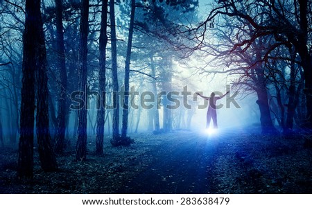 Blue light in a mysterious forest with fog
