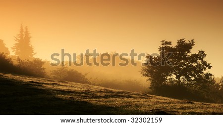 Beautiful mystical landscape in yellow colors at sunrise