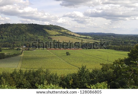 Range of hills the North Downs at Dorking. Surrey. England. With vineyard in foreground and passenger train.