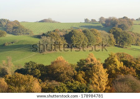 Autumn (Fall) colors in the trees. Surrey Hills. England