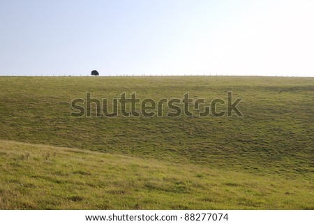 England. West Sussex. Worthing. Countryside on South Downs