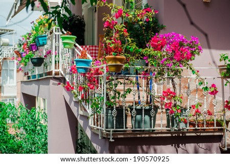 Flowers on balcony Photo taken in Alanya most popular Turkish resort Flowers on balcony Photo taken in Alanya most popular Turkish resort