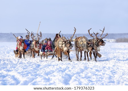 Nadym, Russia - March 01, 2014: Children ride deer during the holiday \