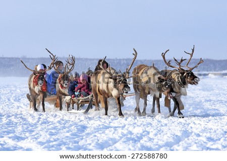 Nadym, Russia - March 01, 2014: People ride deer during the holiday 