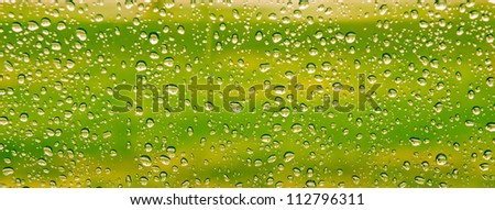 Water droplets on glass with blurred Grass background. Raindrops. Water drops.