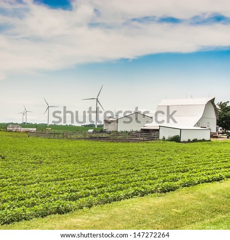 Green field and clean energy concept. Village country farm with poultry house, wind farm and corn and alphalpha crops.