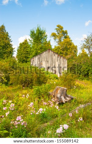 Landscape with wood Cabin in the woods and meadow in front