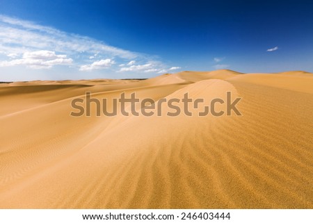 Sand dunes under blue sky. Desert near Senek village, Kazakhstan. Previously, village houses transferred due to sands movement. Now desertification stopped by planted trees.