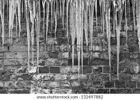 Icicles against a brick wall in black and white
