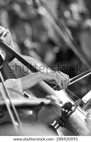 Hands girls playing the cello in the orchestra in black and white