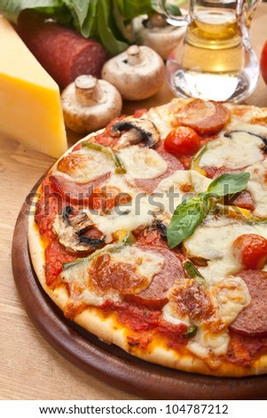 salami, mushroom and vegetable pizza with ingredients