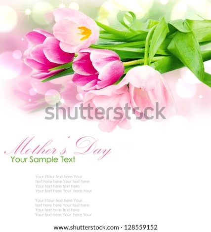 Fresh spring tulip flowers isolated on white Fresh spring tulip flowers isolated on white