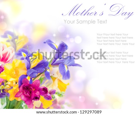 Fresh spring flowers isolated on white Fresh spring flowers isolated on white