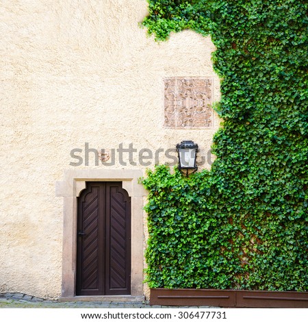 Green Ivy covers side of weathered barn background with old door