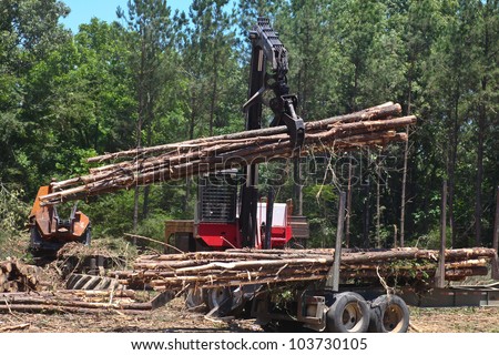 Ax men at work. Logging in Tennessee with forest background.