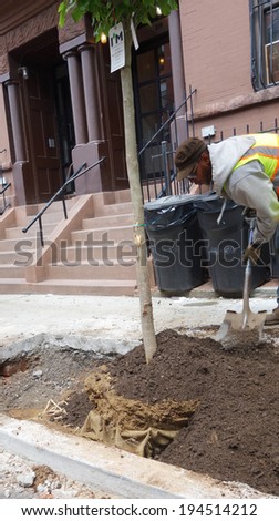 NEW YORK CITY - MAY 23 2014: One Million Trees, part of the privately funded New York Restoration Project, plants an additional 200,000 trees in city neighborhoods as part Mayor De Blasio\'s pledge