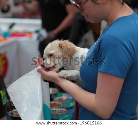 NEW YORK CITY - MAY 31 2014: Maddie's Pet Adoption Days, a private animal rescue organization, sponsored an adoption fair in conjunction with the NYC Mayor's Alliance for Animals in Union Square Park