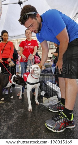 NEW YORK CITY - MAY 31 2014: Maddie's Pet Adoption Days, a private animal rescue organization, sponsored an adoption fair in conjunction with the NYC Mayor's Alliance for Animals in Union Square Park