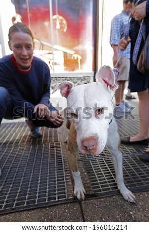 NEW YORK CITY - MAY 31 2014: Maddie\'s Pet Adoption Days, a private animal rescue organization, sponsored an adoption fair in conjunction with the NYC Mayor\'s Alliance for Animals in Union Square Park
