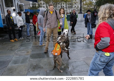 NEW YORK CITY - OCTOBER 11 2014: National Adopt a Shelter Dog month was marked by a dog & cat adoption fair at Brooklyn's Borough Hall