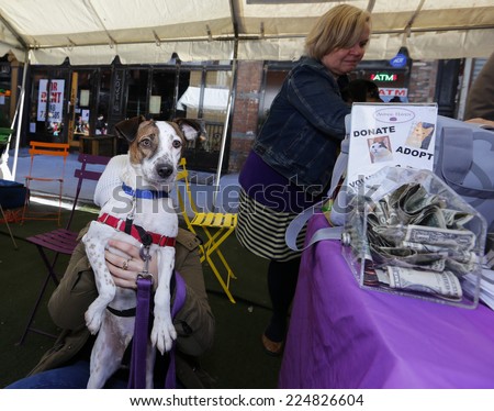 NEW YORK CITY - OCTOBER 19 2014: the Lower East Side\'s Orchard Street Pickle Day fair brought dozens of food & snack vendors into contact with hundreds of passersby. Animal Haven pet rescue booth
