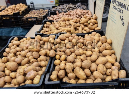 Early spring green market offerings/fingerling potatoes for sale in outdoor booth