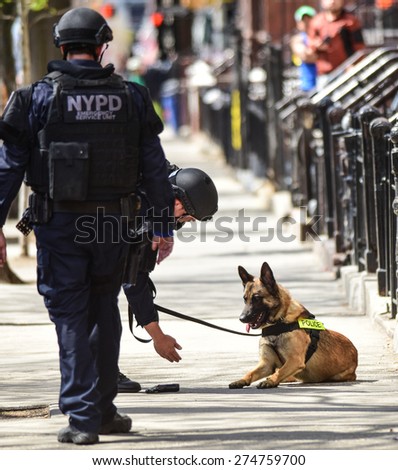 NEW YORK CITY - MAY 1 2015: NYPD emergency services, K9 & helicopter patrol search a closed off a block in Sunset Park, Brooklyn, for a robbery suspect. Showing recovered firearm to K9