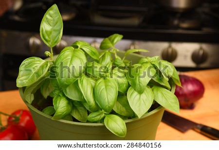Fresh basil/Fresh growing basil still in planter in kitchen on cutting board with tomato, red onion, chef knife & stove in the background
