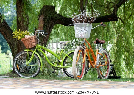 Two bicycles with flower basket  waiting near tree.